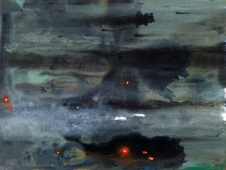Amazon wildfire 02
